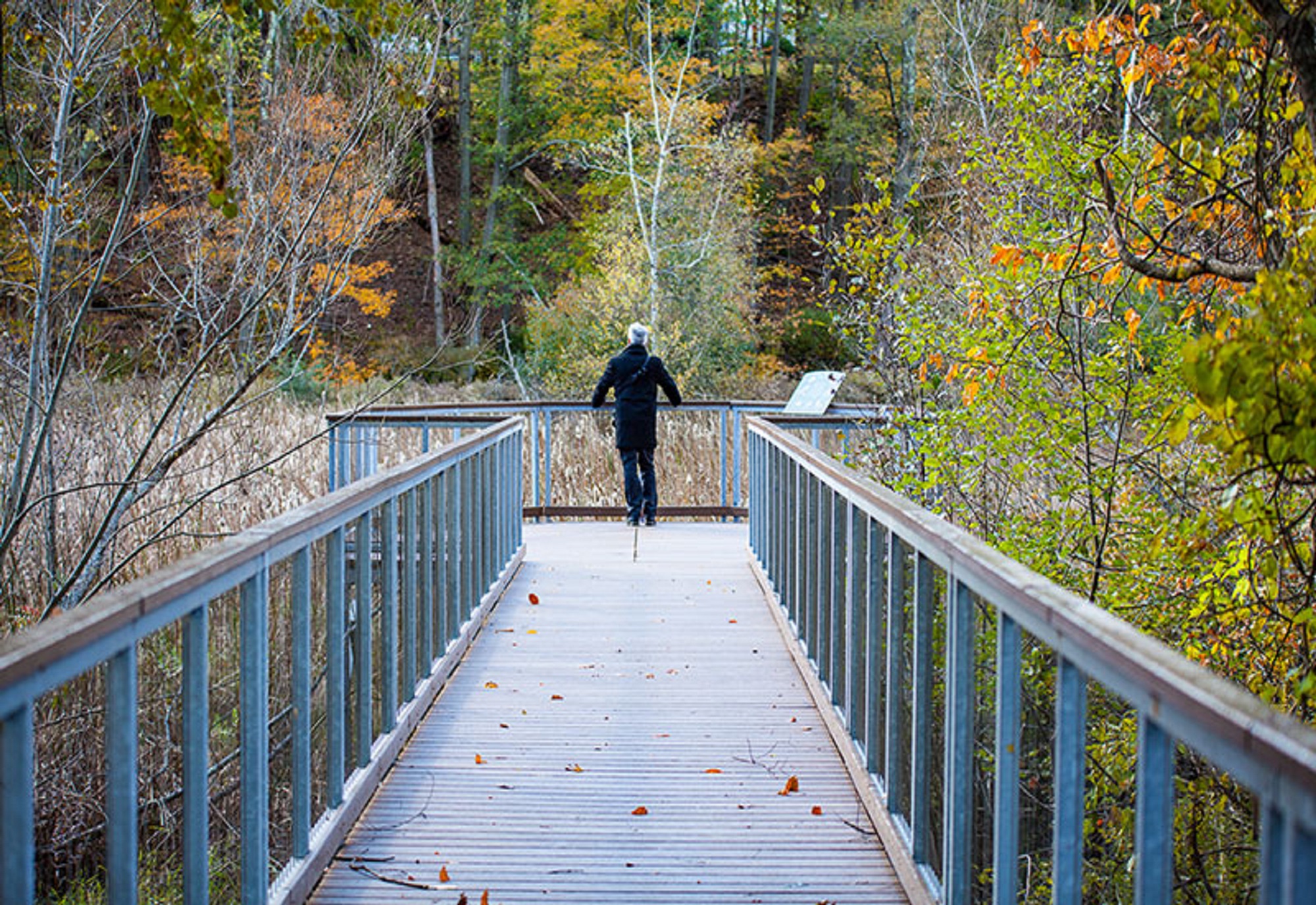 Guy standing on hilltop